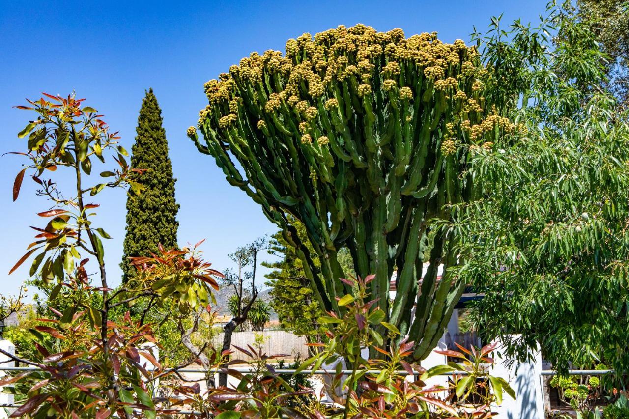 The Palms Boutique Resort Malaga - Adults Only Alhaurín de la Torre Exteriör bild